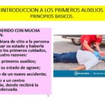 Primeros Auxilios: Aprende a Salvar Vidas con Principios Básicos